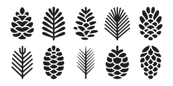 Set of pine cones and evergreen tree branch silhouettes isolated on transparent background for winter design.