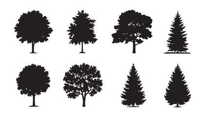 Collection of various deciduous and coniferous trees isolated on transparent background vector illustration. © Moni