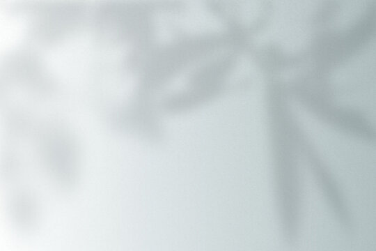 Soft gray background with blurred leaf shadows, creating a gentle, airy texture.