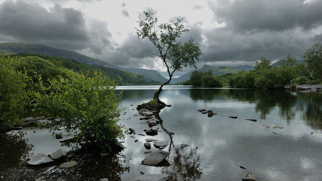 Llyn Padarn is a glacially formed lake in Snowdonia, Gwynedd, North Wales, and is an example of a moraine dammed lake. The lake is approximately 2 miles (3.2 km) long (about 240 acres (97 ha)