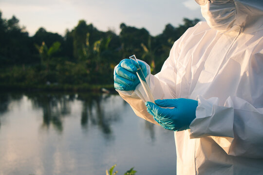 Close-up of a water quality inspector collecting samples for laboratory research and pollution monitoring.