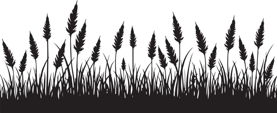 Black wheat grass silhouettes, grassy border, vector grass, wheat icons