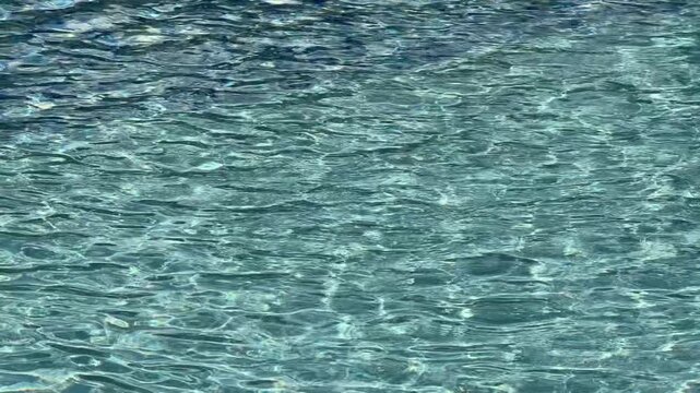 Light blue water surface with gentle ripples and waves.