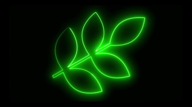 Animated leaf icon in neon .green neon lines and black background.