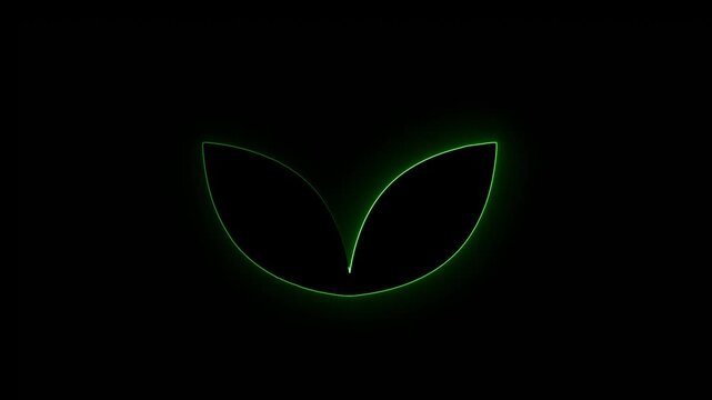 abstract glowing neon leaf icon animation .Tropical neon sign. Green plant or leaves. tree neon icon sign.green neon leaf and black background.