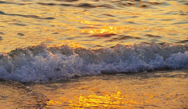 Big wave splash with foam and bubbles in golden sunset, sea waves summer background