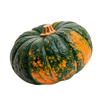 Acorn squash, photograph asset