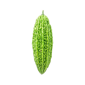 Bitter melon, photograph asset