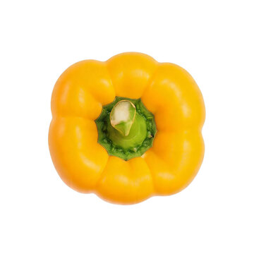 Yellow pepper, photograph asset