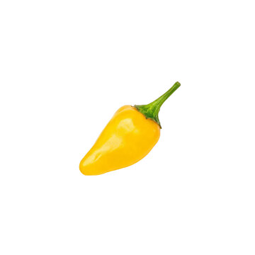 Chili pepper, photograph asset