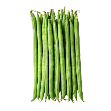 Green beans, photograph asset
