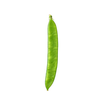 Runner beans, photograph asset