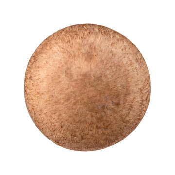 Button mushroom, photograph asset