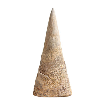 Rhino horn, photograph asset