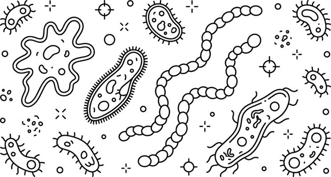 Black and White Microbiology Line Art Vector Pattern with Amoeba Paramecium Bacteria and Microscopic Organisms for Science Coloring Pages and Medical Designs