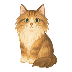 Obraz premium PNG Cute watercolor fluffy cat illustration.