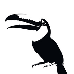 Obraz premium Stylized Toucan Silhouette with Large Beak Isolated on White Background