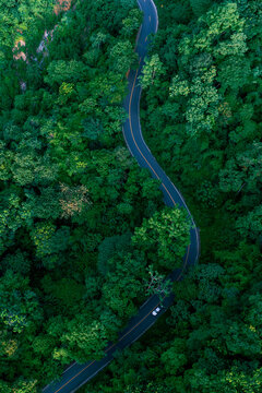 Scenic transportation corridor through dense forest canopy representing ecological balance, sustainable mobility, renewable energy transition, and ESG governance.