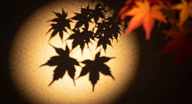 Maple leaf shadows cast on a textured wall under warm evening light