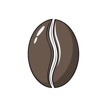 Isolated single brown roasted coffee bean with a distinct central split and highlight details on white background