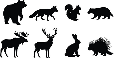 Fototapeta premium Vector Silhouette Collection of Woodland Animals