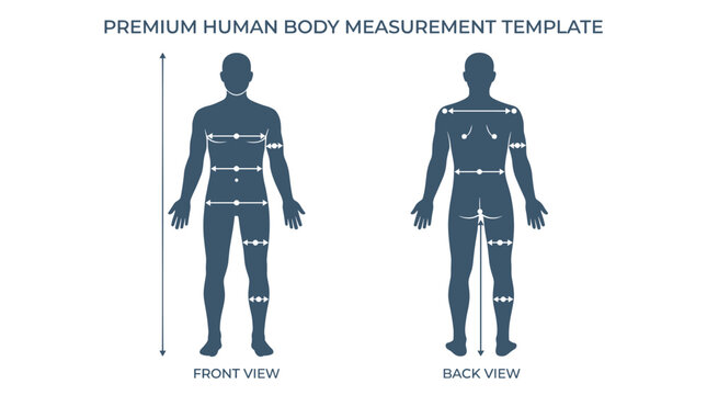 Human body measurement template with front and back view silhouettes