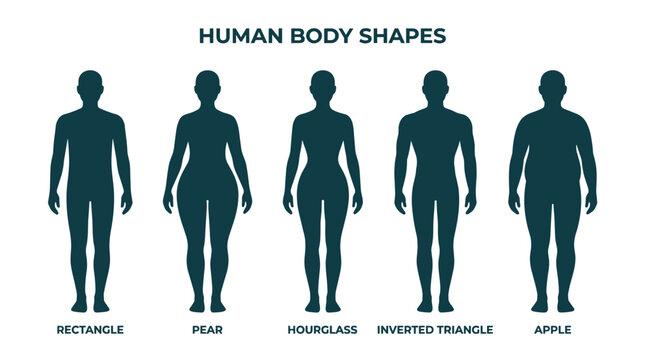 Human body shapes infographic with rectangle pear hourglass inverted triangle and apple silhouettes