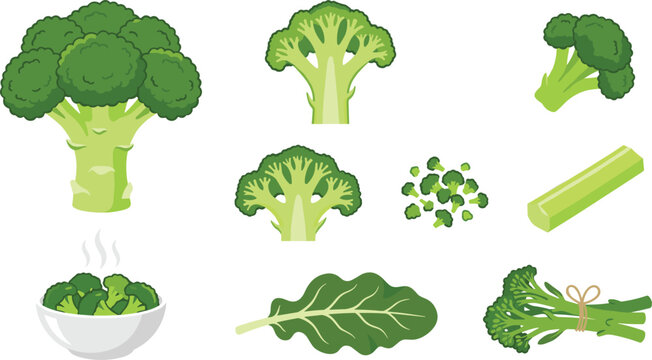 Fresh Broccoli Vegetable Set with Whole Florets, Slices, Chopped Pieces, Steamed Bowl, Stalk, Leaf, and Broccolini Bundle for Healthy Vegan Cooking Designs