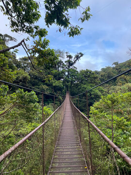 Suspension bridge across lush cloud forest in Panama, empty walkway surrounded by dense green canopy and misty hills
