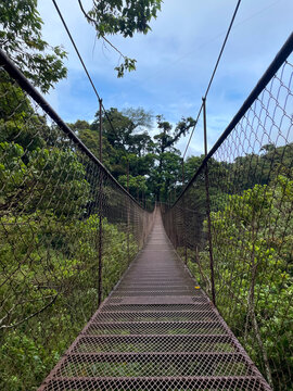 Suspension bridge across lush cloud forest in Panama, empty walkway surrounded by dense green canopy and misty hills