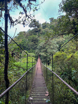 Suspension bridge across lush cloud forest in Panama, empty walkway surrounded by dense green canopy and misty hills