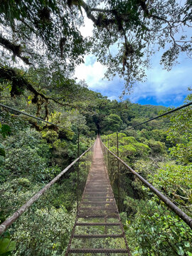 Suspension bridge across lush cloud forest in Panama, empty walkway surrounded by dense green canopy and misty hills