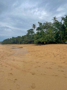 Tropical beach with golden sand along the Caribbean coast of Panama, blue sky and lush green trees