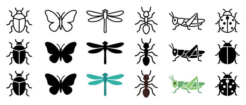 Beetle butterfly dragonfly ant grasshopper ladybug vector icons showcase diverse insect species in outline, solid, and colored minimalist graphic styles.