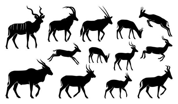 African antelope and gazelle silhouette vector collection