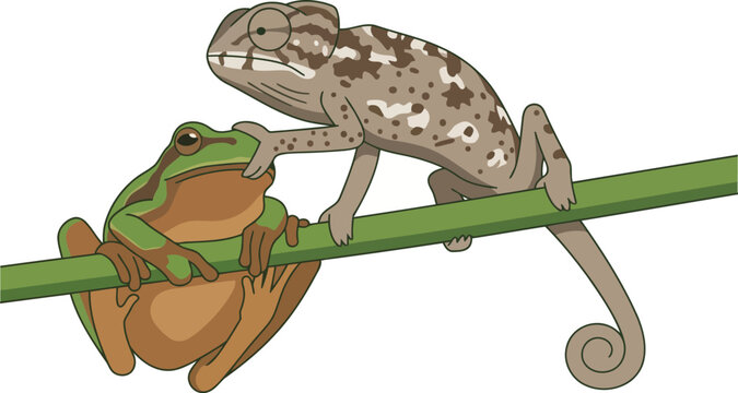 Two frogs sitting on a green branch together in a funny pose