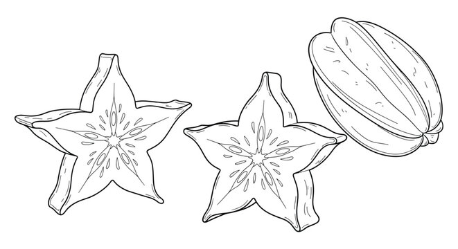 Detailed line art illustration of whole and sliced starfruit for coloring books or healthy food design projects.