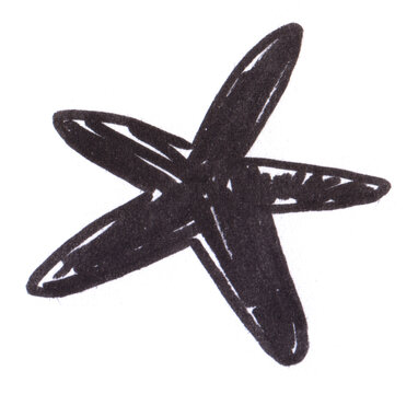 Starfish hand drawn ink illustration marker sketch sea star doodle black monochrome marine animal element for summer design and ocean art projects