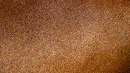 Natural brown animal hair texture for abstract background. © bancha