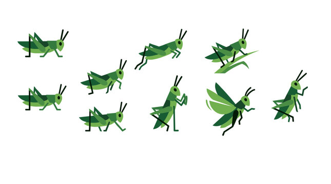 Green Grasshoppers in Flight.