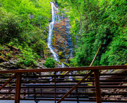 Mingo Creek Cascading Above The Viewing Platform at Mingo Falls, Great Smoky Mountains National Park, North Carolina, USA