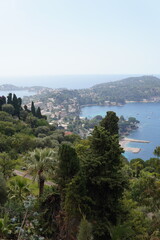 Naklejka premium Panoramic View of Mediterranean Bay and Peninsula Through Garden, French Riviera, France