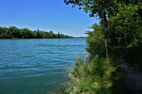 Rhein zwischen Hartheim und Breisach am Rhein; Breisgau-Hochschwarzwald; Baden W&uuml;rttemberg