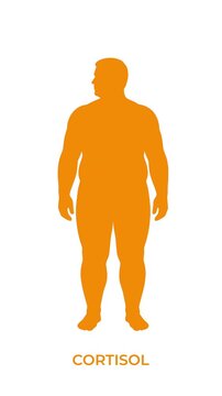 Silhouette of a man changing from slim to fat due to high cortisol levels and stress, orange abstract background vector illustration.