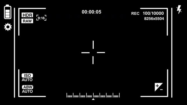 Professional digital camera viewfinder overlay for video recording.