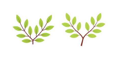 Flat leaf branch icons, simple botanical vector elements for nature design © Akter