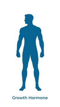 Silhouette of a child transforming into an adult male representing growth hormone driven development and physical maturation.