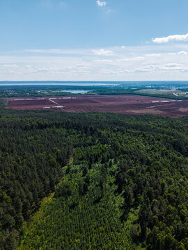 Aerial view of a vast peat bog extraction site adjacent to a dense coniferous forest under a clear blue sky in Riga, Latvia.