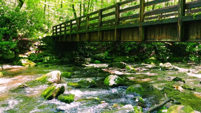 Wooden Bridge Crossing The Oconaluftee River on The Kephart Prong Trail, Great Smoky Mountains National Park, North Carolina, USA