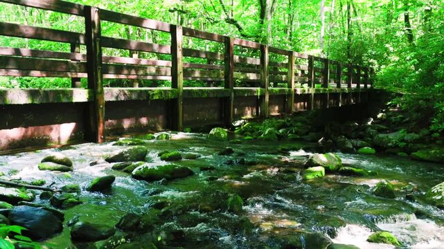 Wooden Bridge Crossing The Oconaluftee River on The Kephart Prong Trail, Great Smoky Mountains National Park, North Carolina, USA